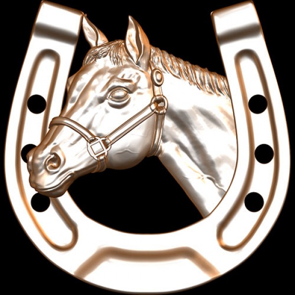 Horseshoe Horse Head